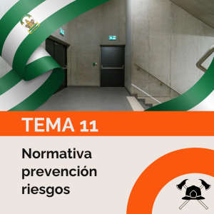 Tema 11: Normativa prevención riesgos