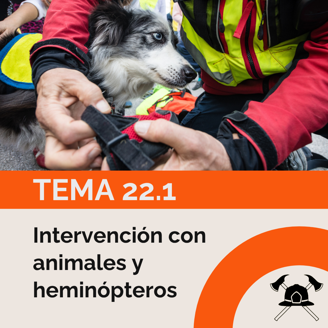 Tema 22.1: Intervención con animales y heminópteros