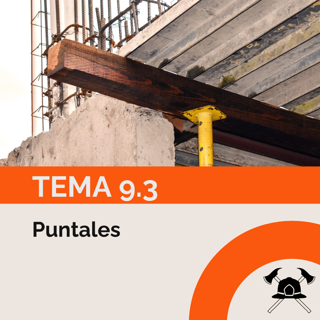 Tema 9.3: Puntales